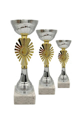 CTS 289 | SET de 3 Cupe Sportive - TrophyShop